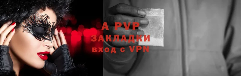 Alfa_PVP СК КРИС  Цоци-Юрт 